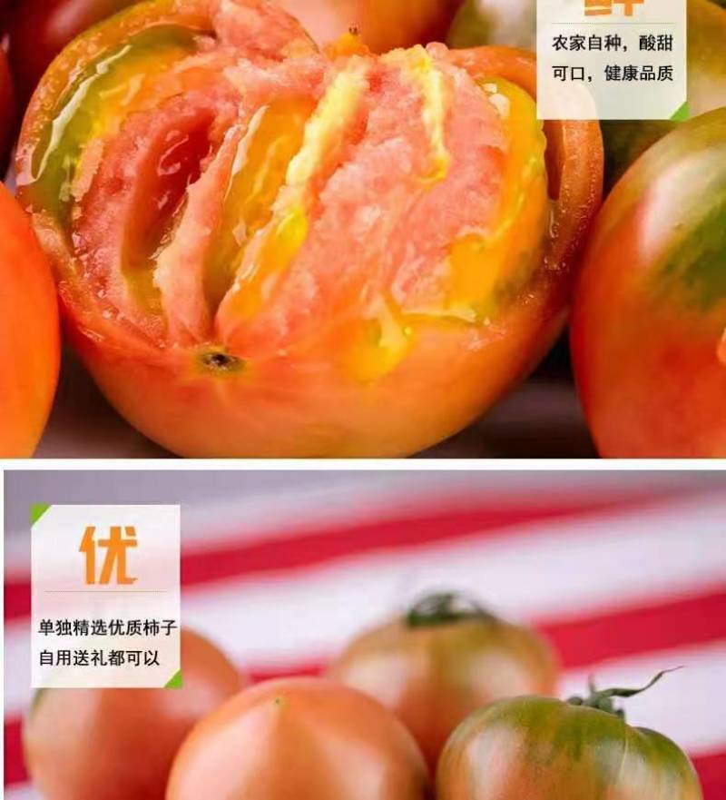 一件代发碱地柿子草莓柿子支持电商主播