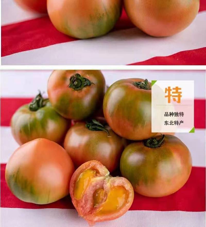 一件代发碱地柿子草莓柿子支持电商主播