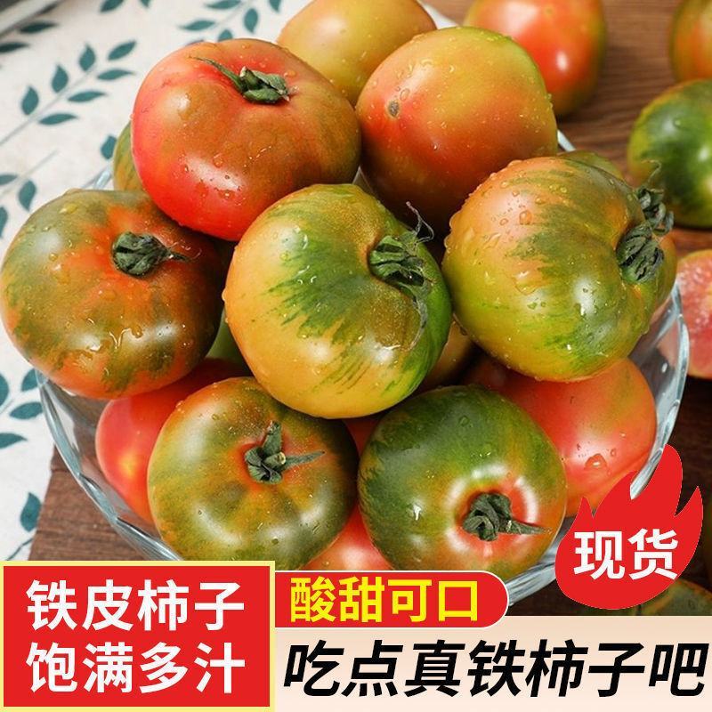 一件代发碱地柿子草莓柿子支持电商主播