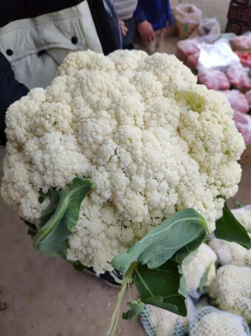 花菜，产地直供，货量充足，量大价优！