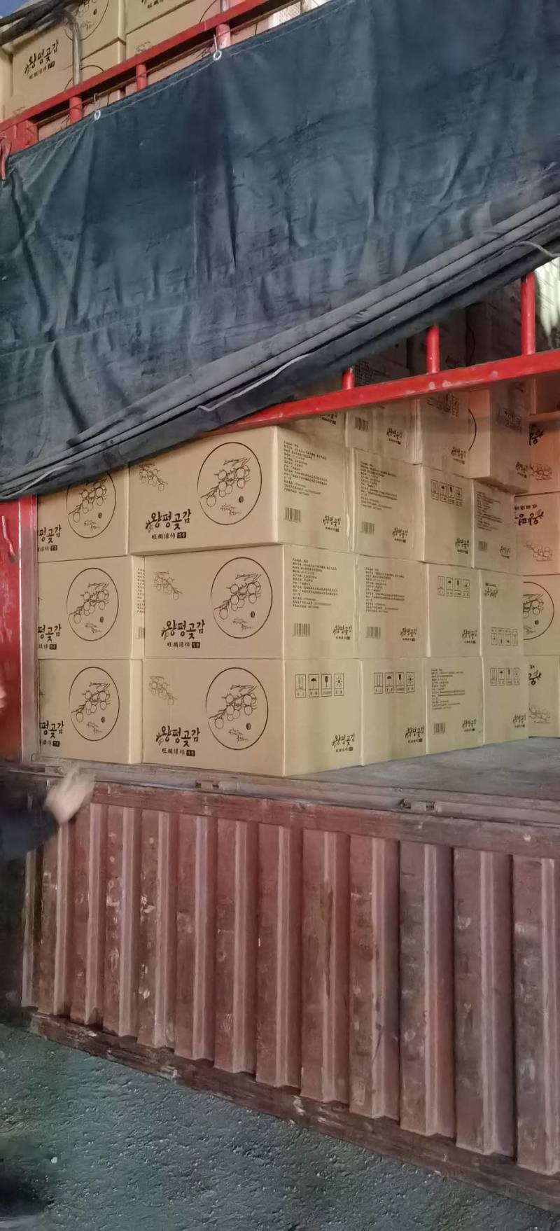 桂林糖心柿子饼，2023新款，有食品生产许可证一级货
