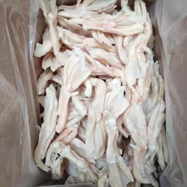 生的无骨鸭掌