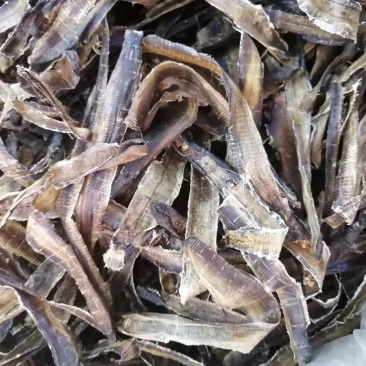 包邮地龙干俗称蚯蚓干，广西种养，质量上乘，干度好色泽好