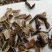 包邮地龙干俗称蚯蚓干，广西种养，质量上乘，干度好色泽好