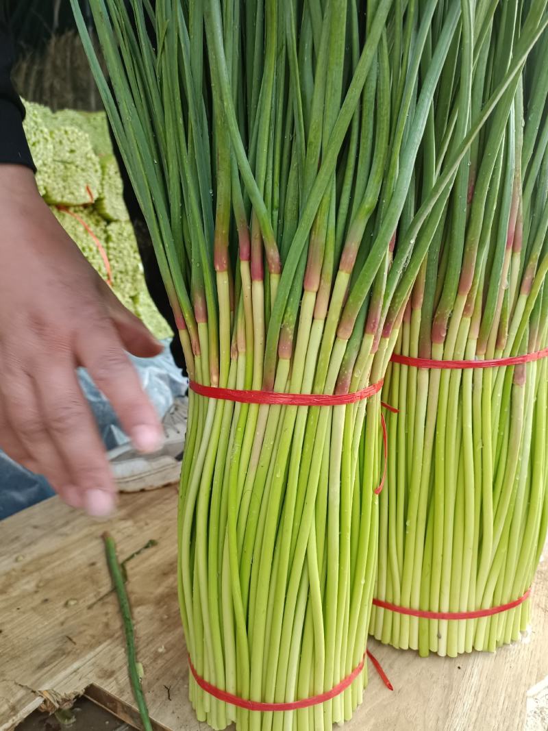 中牟大蒜，上市中，个头大，把子蒜，蒜头，电商，物美价廉