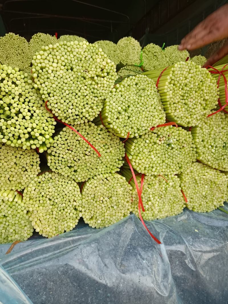 中牟大蒜，上市中，个头大，把子蒜，蒜头，电商，物美价廉