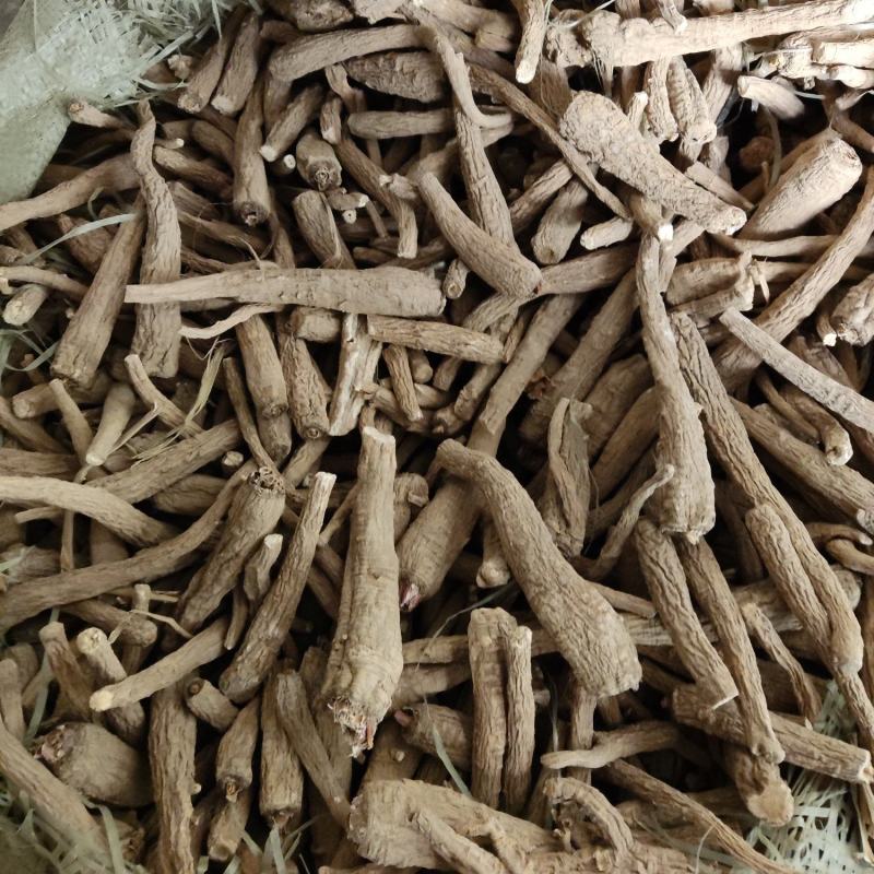 无硫白芷小二条