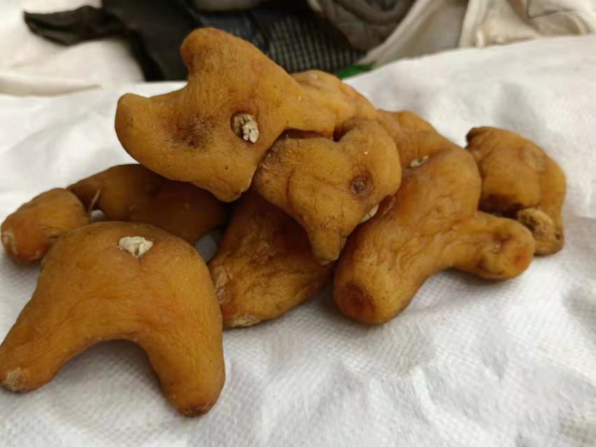 黄岑苷分子结构图