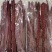 猪里脊风干肉（门市、展会，赶集）