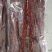 猪里脊风干肉（门市、展会，赶集）