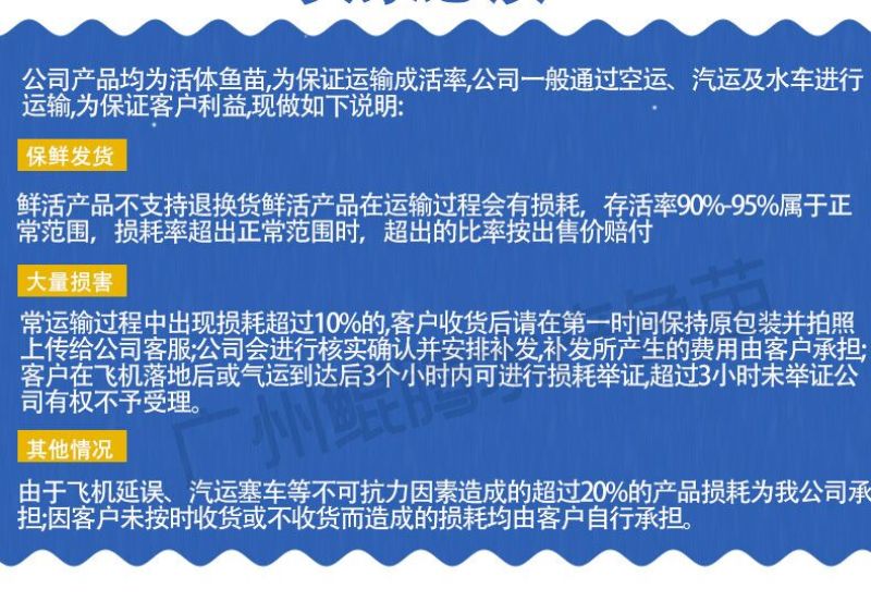 罗非鱼苗鲲腾鱼苗好鱼苗鲲腾出产地直销百万现货