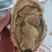 正宗乳山生蚝产地直供万亩养殖海域山东威海乳山牡蛎批发零售