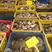 山东威海乳山牡蛎乳山生蚝海蛎子产地直发大量供货欢迎咨询