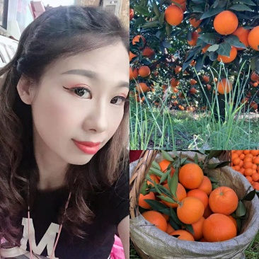秭归长虹脐橙，中华红橙果园看货订购，诚信经营，谁行就市