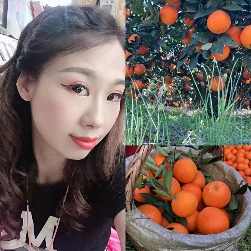 【秭归脐橙】，大量供应，价钱实惠！果园看货