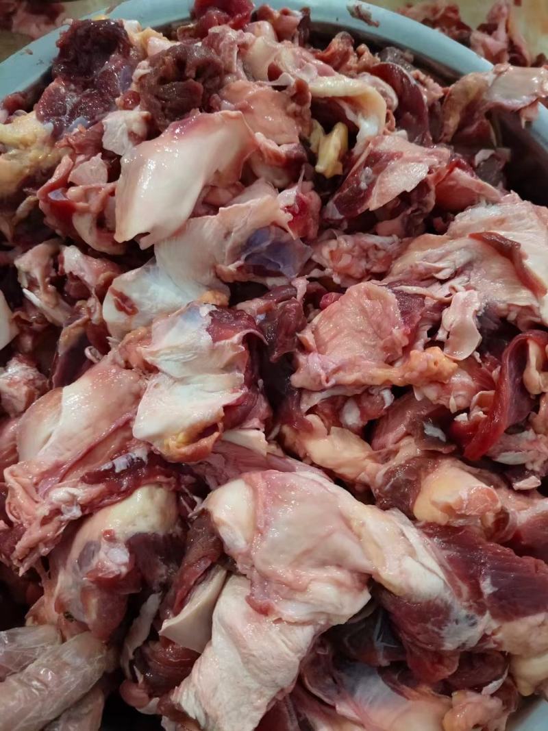 鲜冻生牛肉筋，五斤一卷，卤煮店适合产品，长期有货