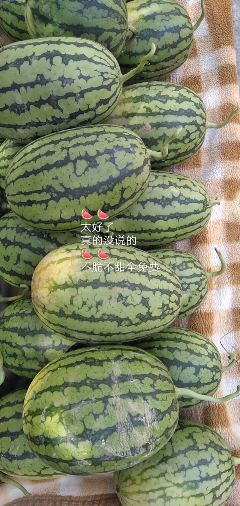 西瓜