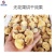 苹果片烘干机柠檬无花果烘干箱切片机山楂刺梨干燥设备