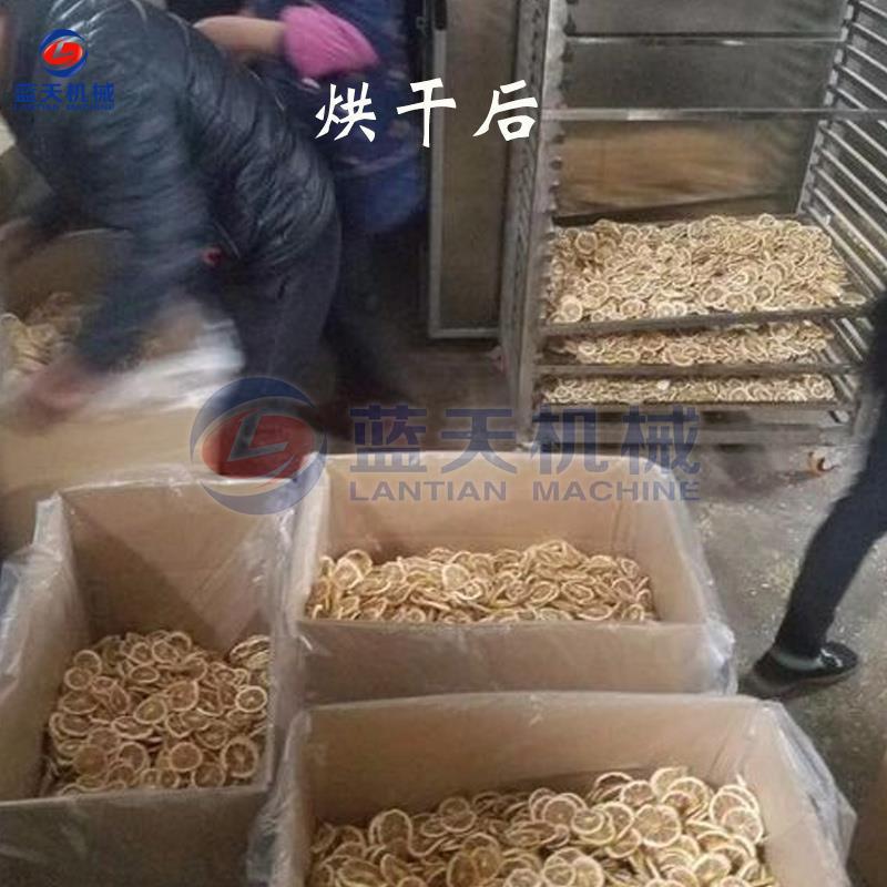 苹果片烘干机柠檬无花果烘干箱切片机山楂刺梨干燥设备