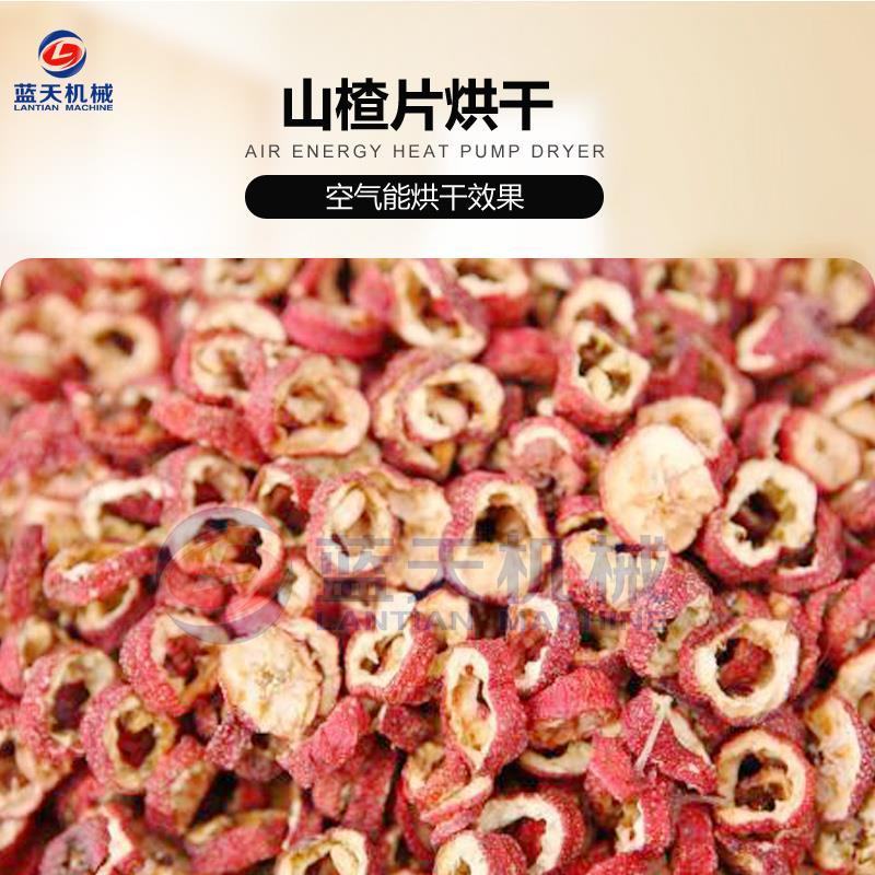 苹果片烘干机柠檬无花果烘干箱切片机山楂刺梨干燥设备