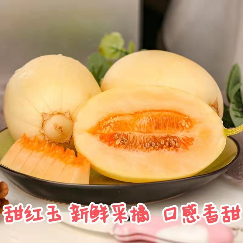 精品甜红玉大量上市，口感好，甜度高，个头均匀，皮面干净