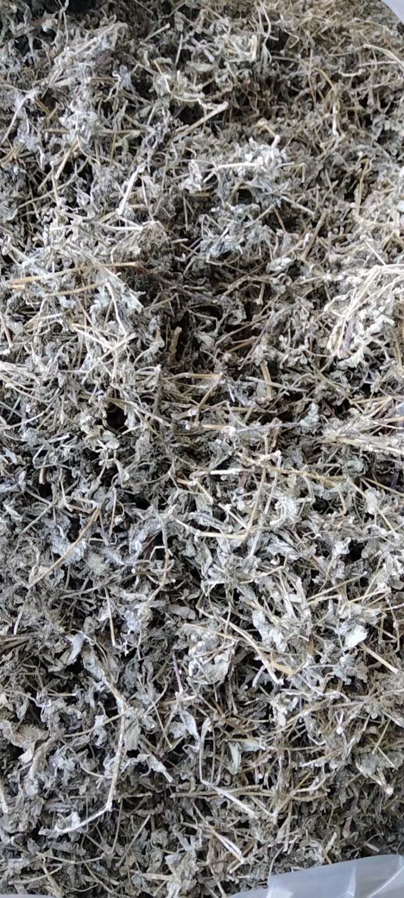 野生藤茶银藤茶莓茶长寿茶回甘好批量从优