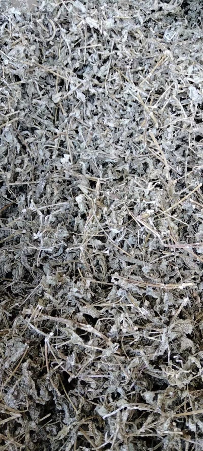 野生藤茶银藤茶莓茶长寿茶回甘好批量从优