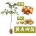 黑黄皮果苗嫁接苗鸡心黄皮无核纯甜黄皮果苗