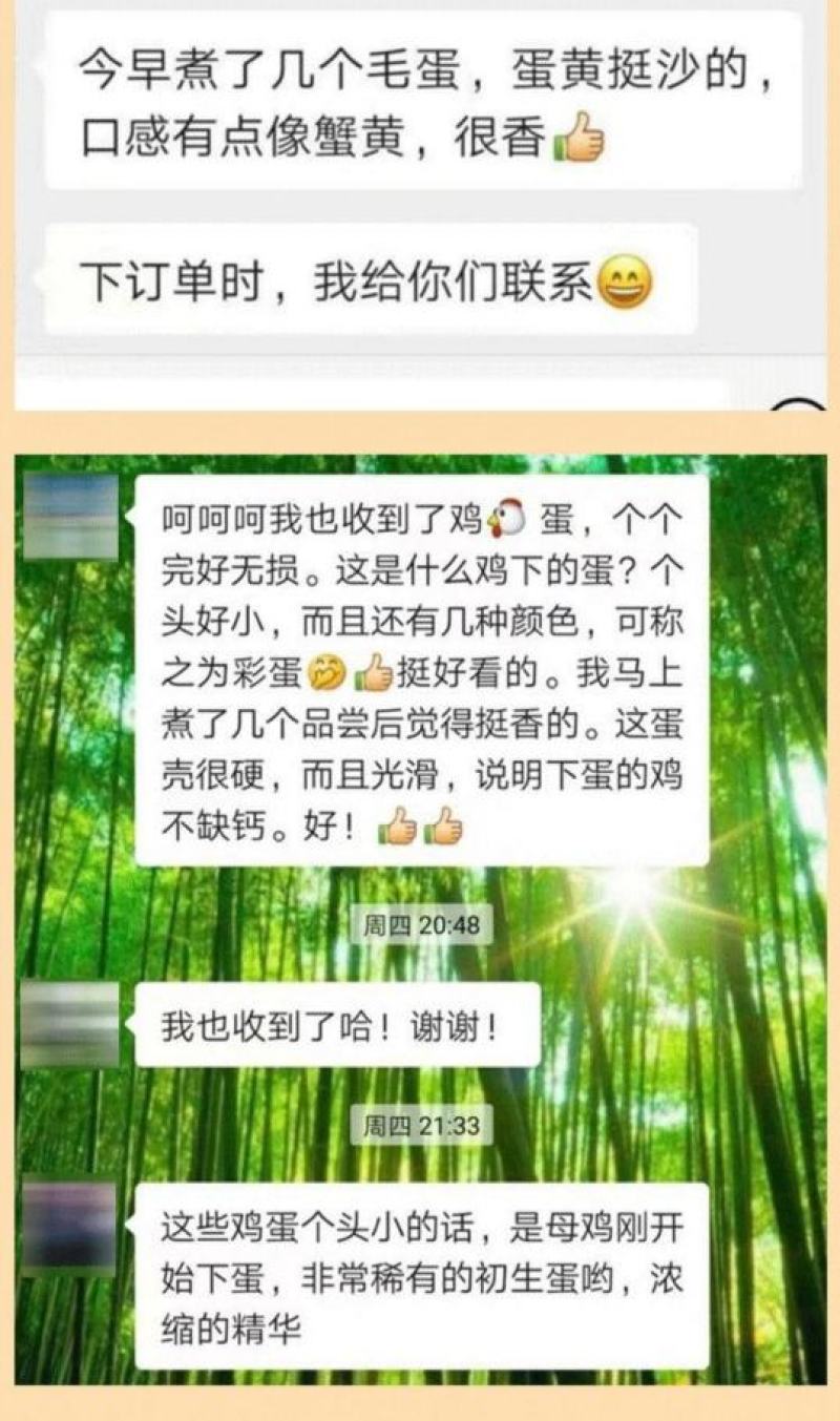 30枚绿壳土鸡蛋，原生态，支持检测