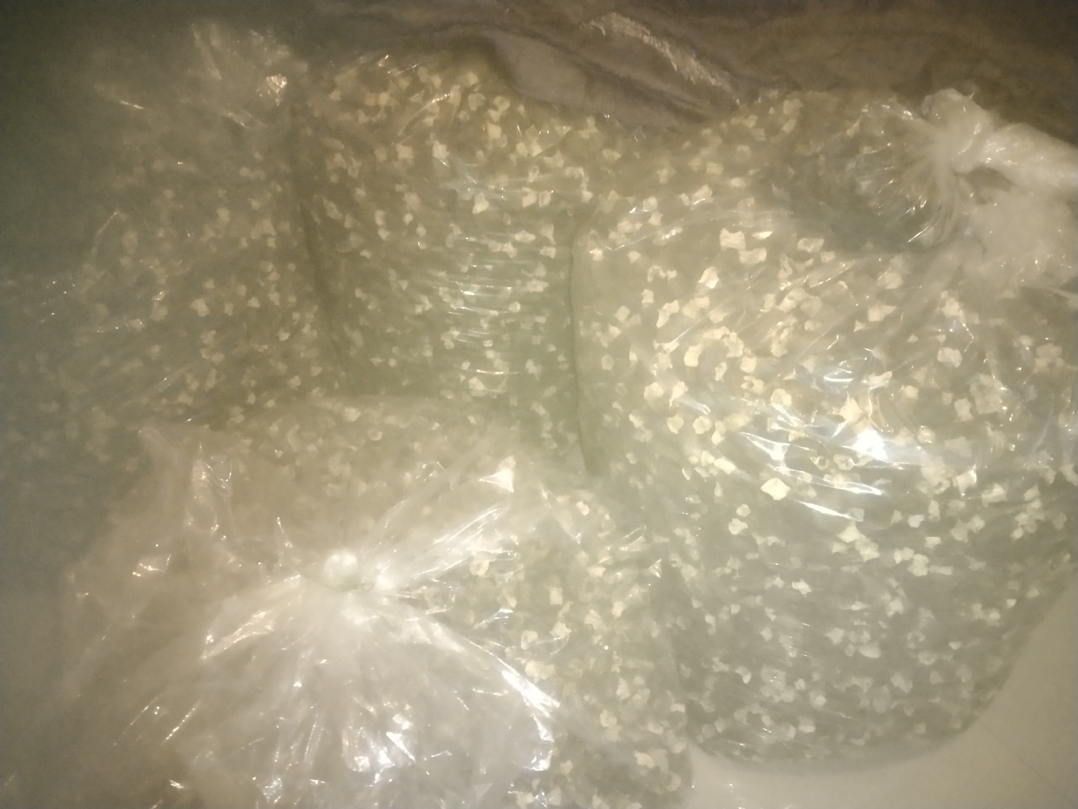 厨房场景中,透明密封袋内装有干羊肚菌,放置于冰箱冷冻层隔层中,旁边标注‘-18℃冷冻48小时’的操作说明卡片,展示家庭安全处理流程 家庭冷冻处理干羊肚菌的操作场景