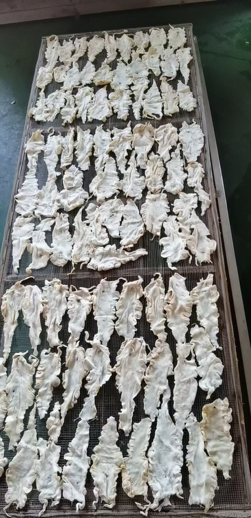 精品干贝瑶柱厂家直销（500头500克一件）