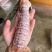 皮皮虾(活煮熟冻肉质饱满，鲜度100%精品)