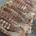 皮皮虾(活煮熟冻肉质饱满，鲜度100%精品)
