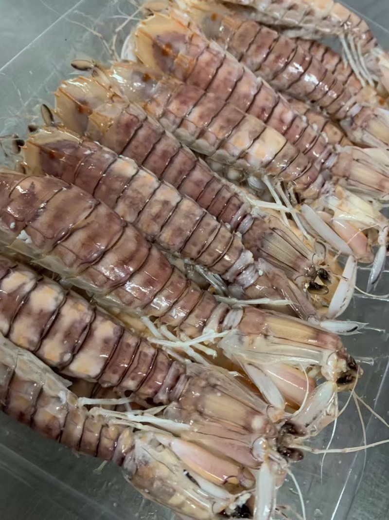 皮皮虾(活煮熟冻肉质饱满，鲜度100%精品)