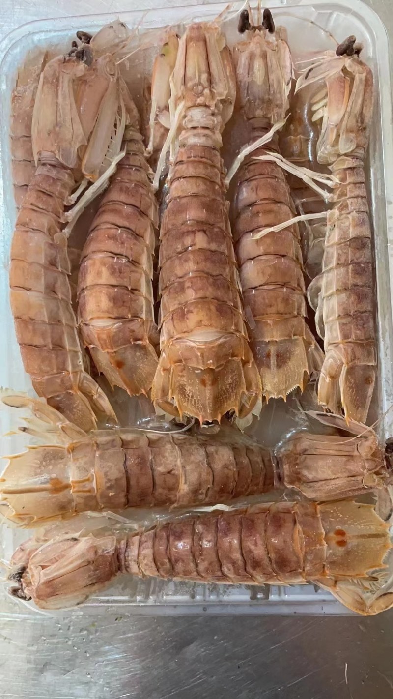皮皮虾(活煮熟冻肉质饱满，鲜度100%精品)