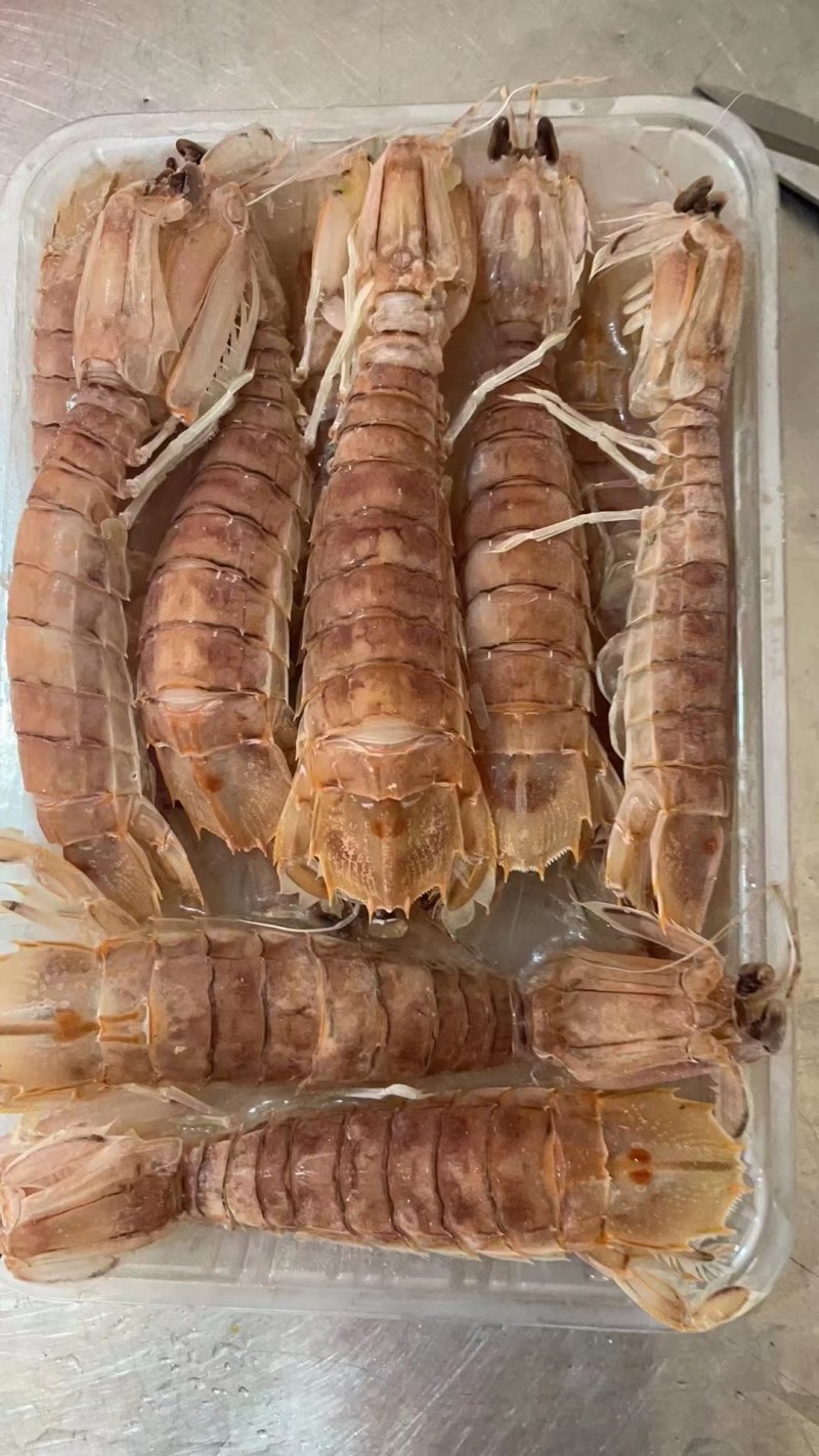 皮皮虾(活煮熟冻肉质饱满，鲜度100%精品)