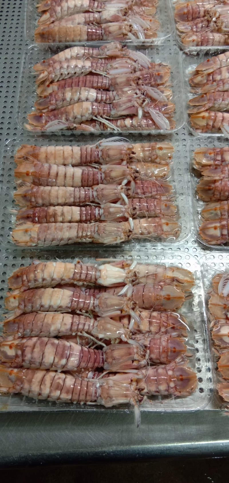 皮皮虾(活煮熟冻肉质饱满，鲜度100%精品)