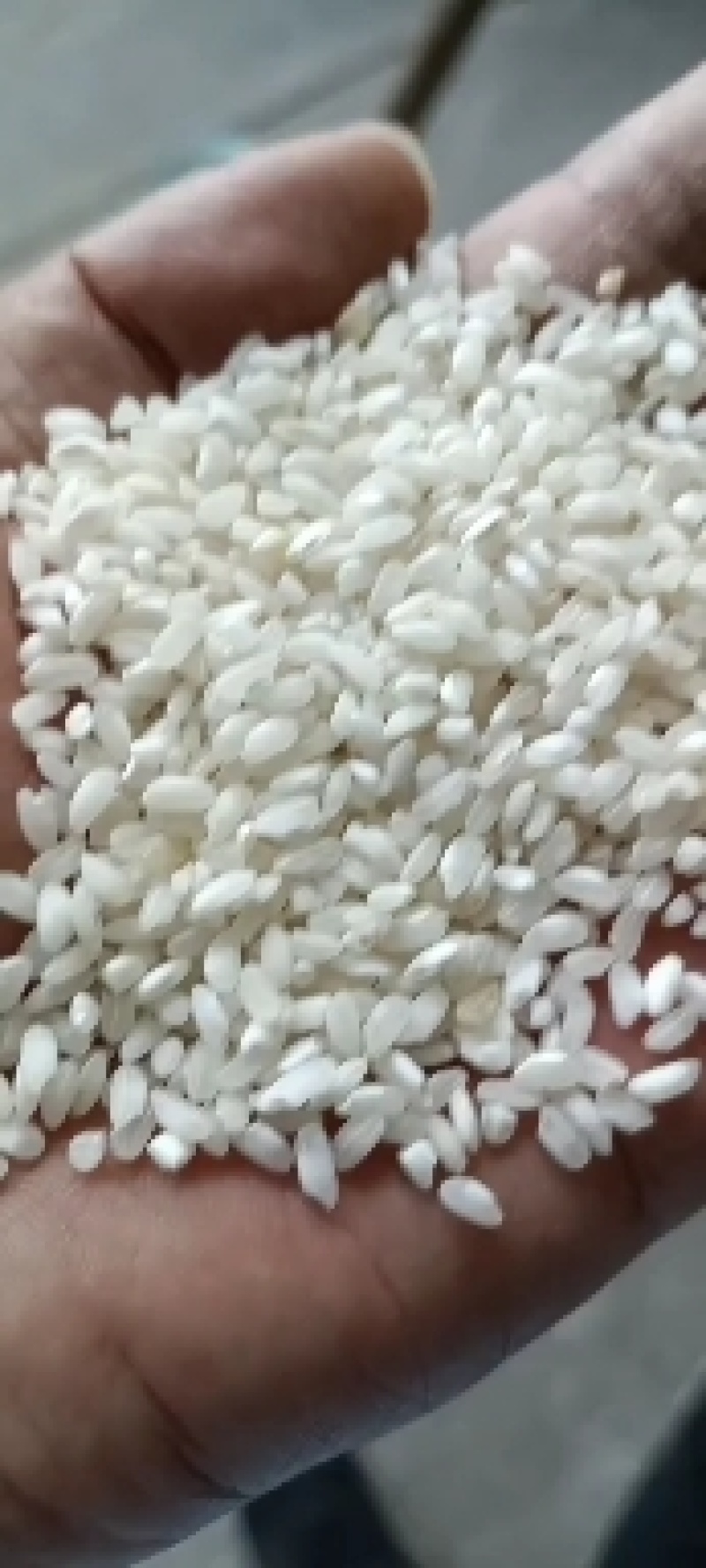 米粉米线专用适应米粉米粉米皮米豆腐河粉肠粉红薯粉土豆粉等