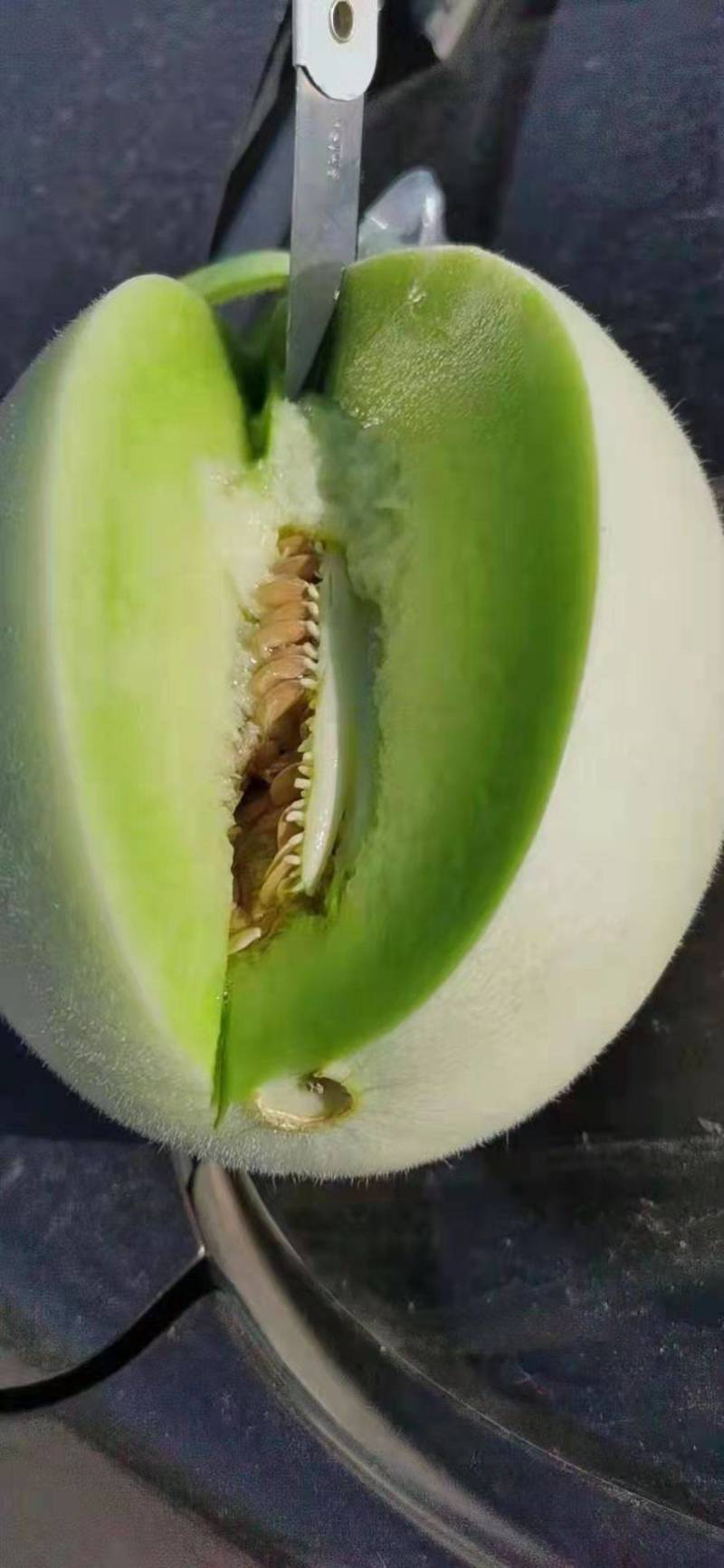 年复一年，历经千辛万苦只为大家吃上自然成熟汁多味美的玉菇