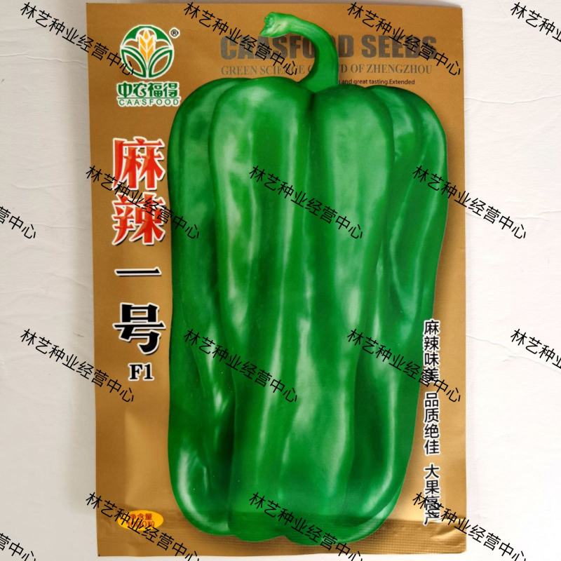 中农福得麻辣一号早熟麻椒果色亮绿微辣辣椒家庭园艺种子蔬菜