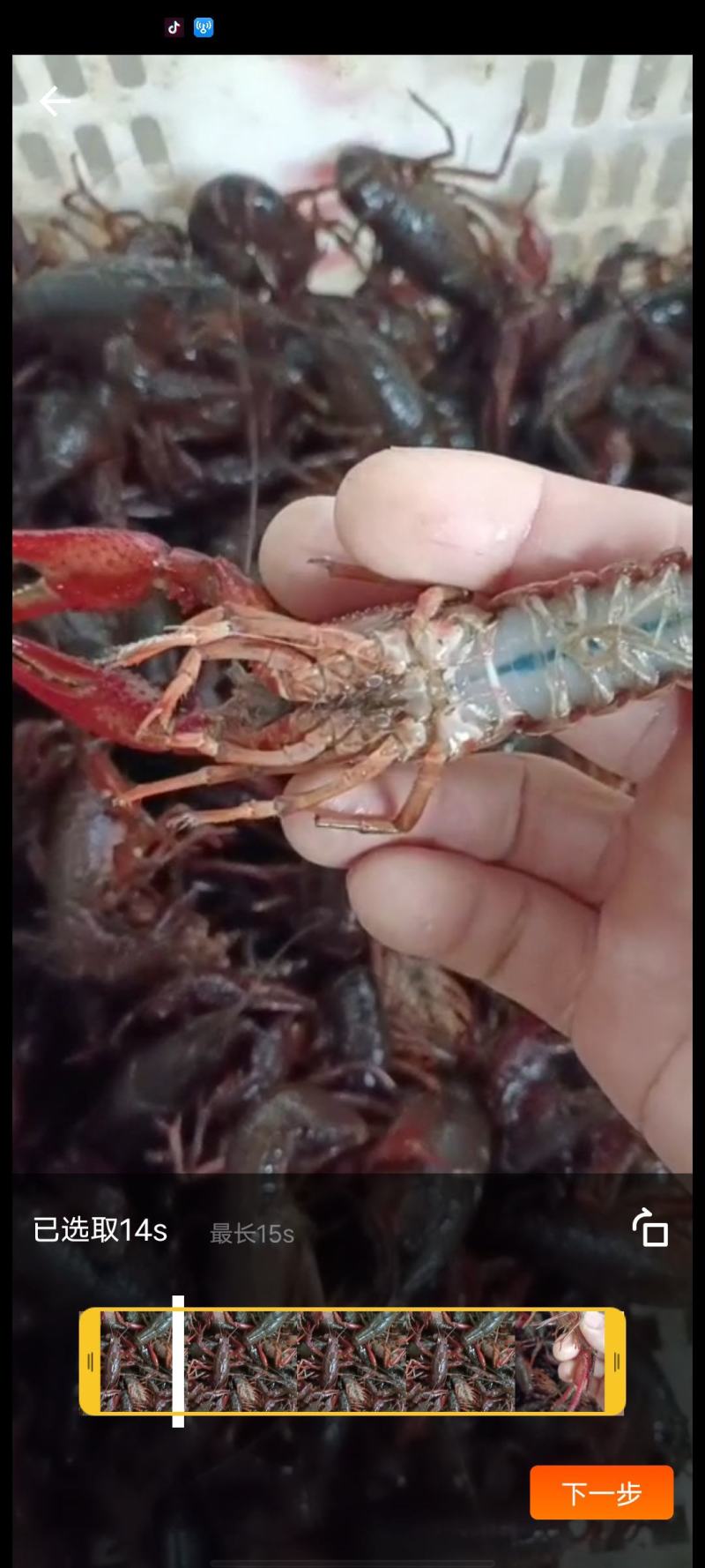 潜江龙义小龙虾