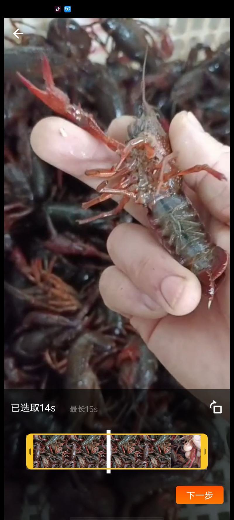 潜江龙义小龙虾