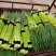 杞县早熟蒜苔大量上市