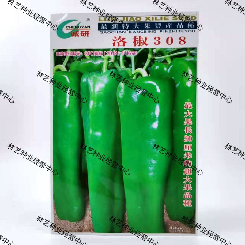 洛阳诚研洛椒308牛角椒辣椒种子籽绿皮特大果三系杂交菜椒