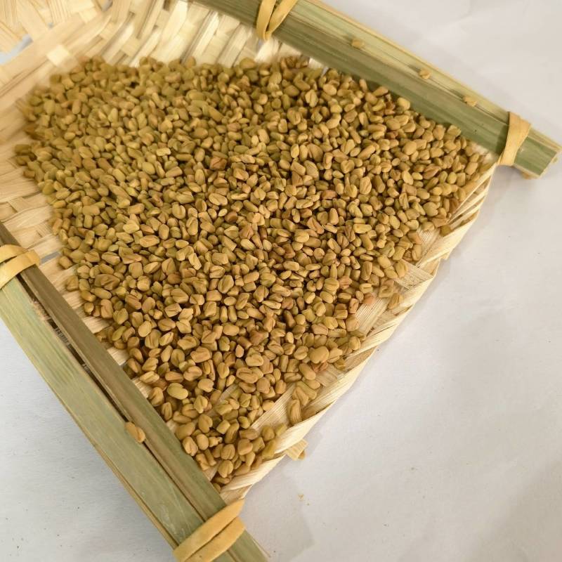 葫芦巴实图拍摄当天发货重在品质欢迎选购产地采购