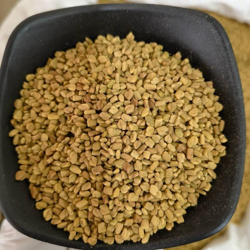 葫芦巴实图拍摄当天发货重在品质欢迎选购产地采购