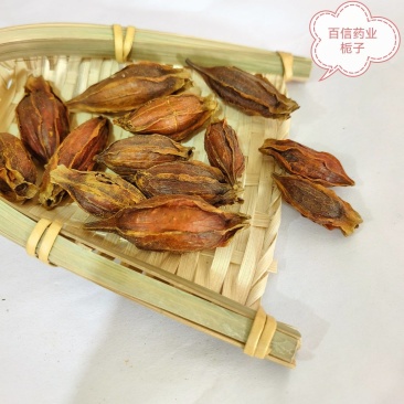 栀子大栀子今年新货当天发货重在品质货源充足