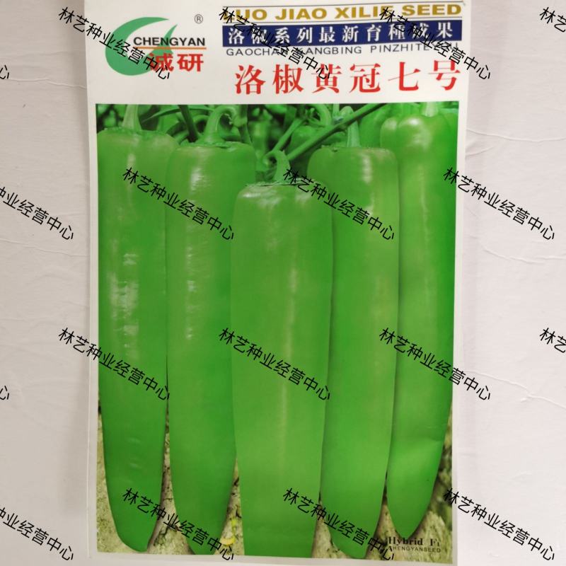 洛椒黄冠七号大果型羊角椒种子黄皮中辣耐热早熟高产辣椒籽大