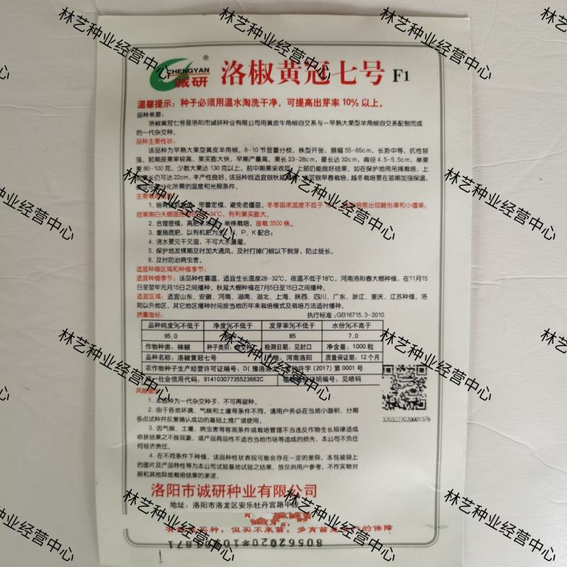 洛椒黄冠七号大果型羊角椒种子黄皮中辣耐热早熟高产辣椒籽大