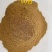 金针菇渣8目，18.目，30目，50目